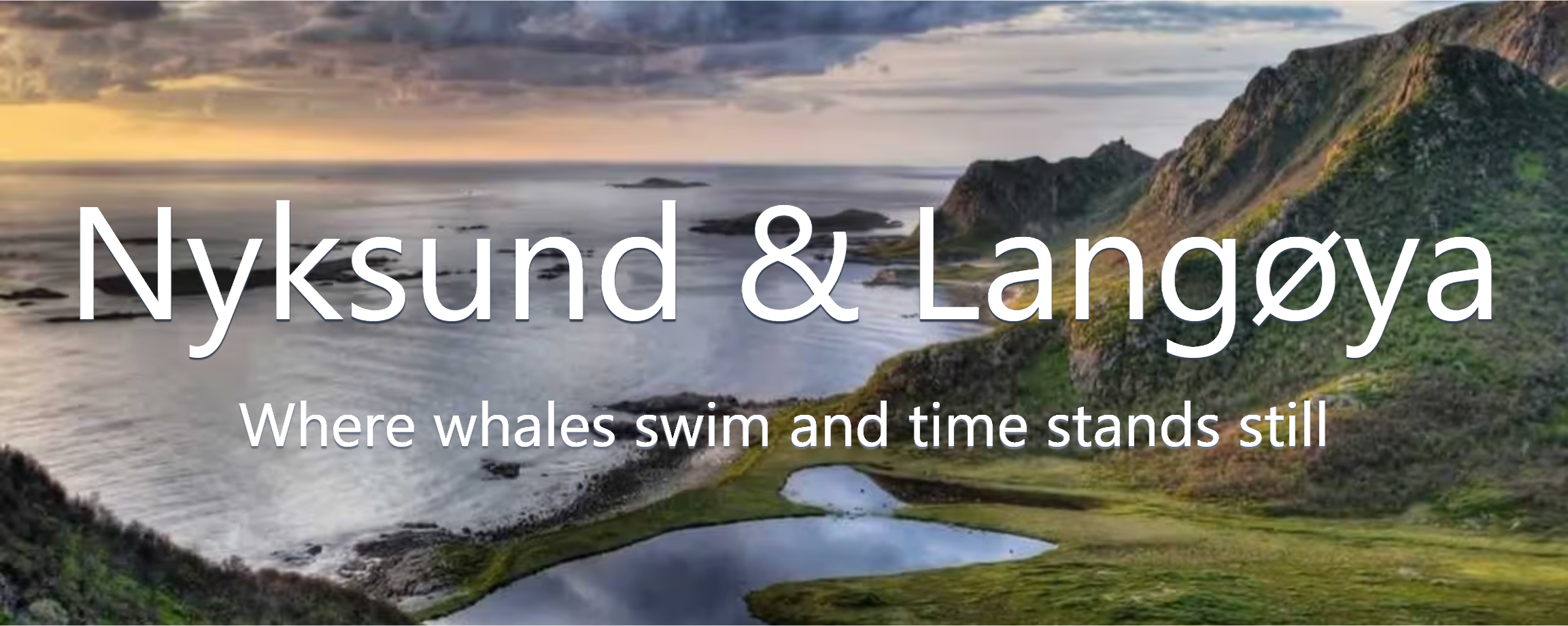 Langøya-Nyksund-1-crop-export 1.png
